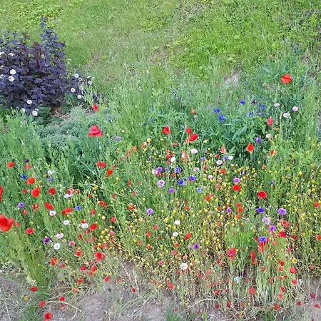 Penzion Schuetzenhaus Leisnig