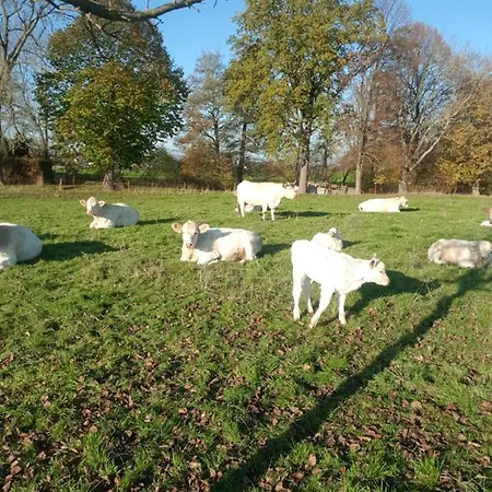 Schuetzenhaus Penzion 3*