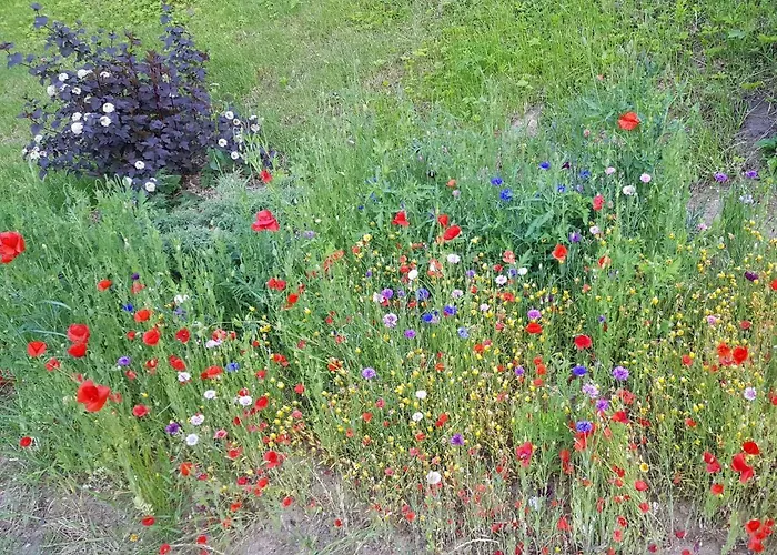 招待所 Schuetzenhaus Leisnig