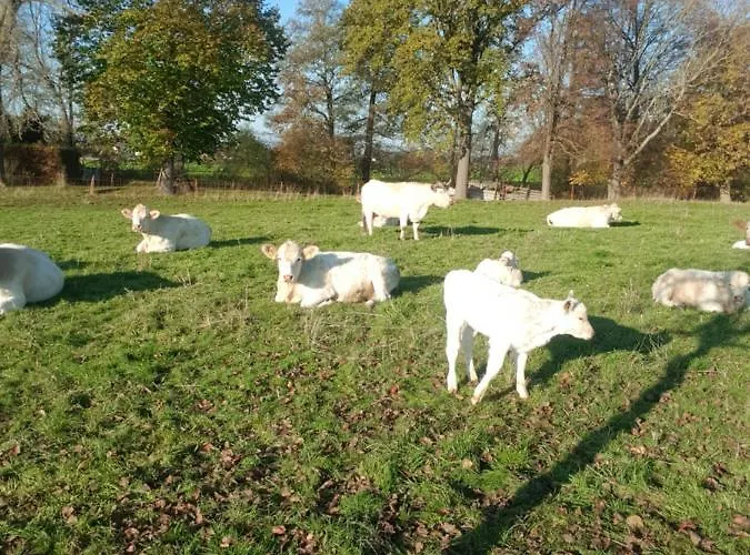 Schuetzenhaus 招待所 3*